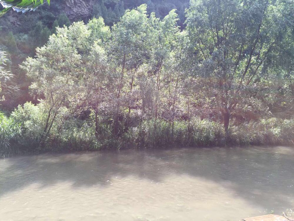 三门峡市黄河大坝旅游景区,河南省三门峡市旅游景点