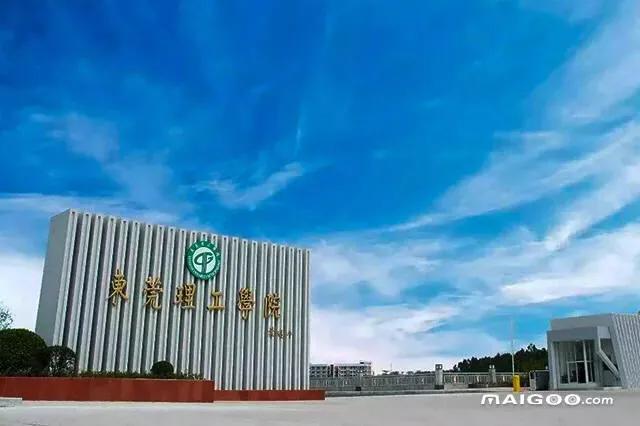 东莞市五大名校所在地,东莞松山湖未来学校排名