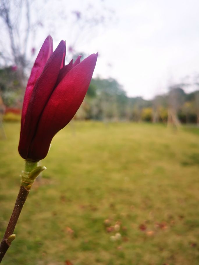 深圳宝安海滨公园游园图,深圳市娱乐场所