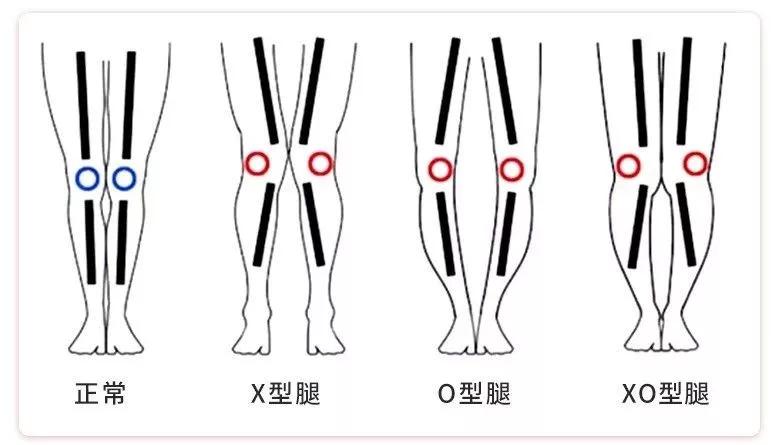 金马奖影后90后,金马双影后第一人