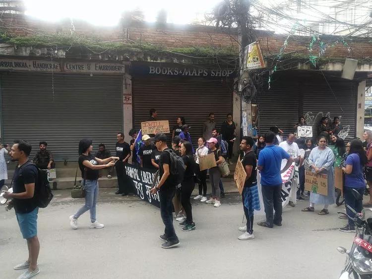 尼泊尔旅游有什么优惠政策,中国对尼泊尔旅游免签吗