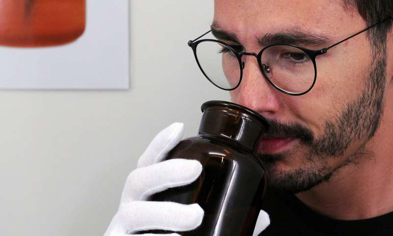 生殖激素和激素水平一样吗,生殖激素种类及其作用