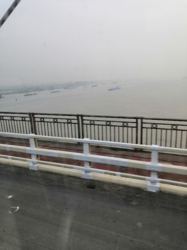 南京八卦洲最新房价,南京八卦洲烟花