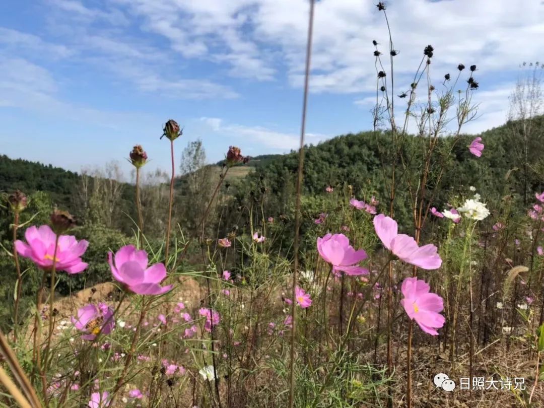 三门峡侯家沟村,涞源县侯家沟村