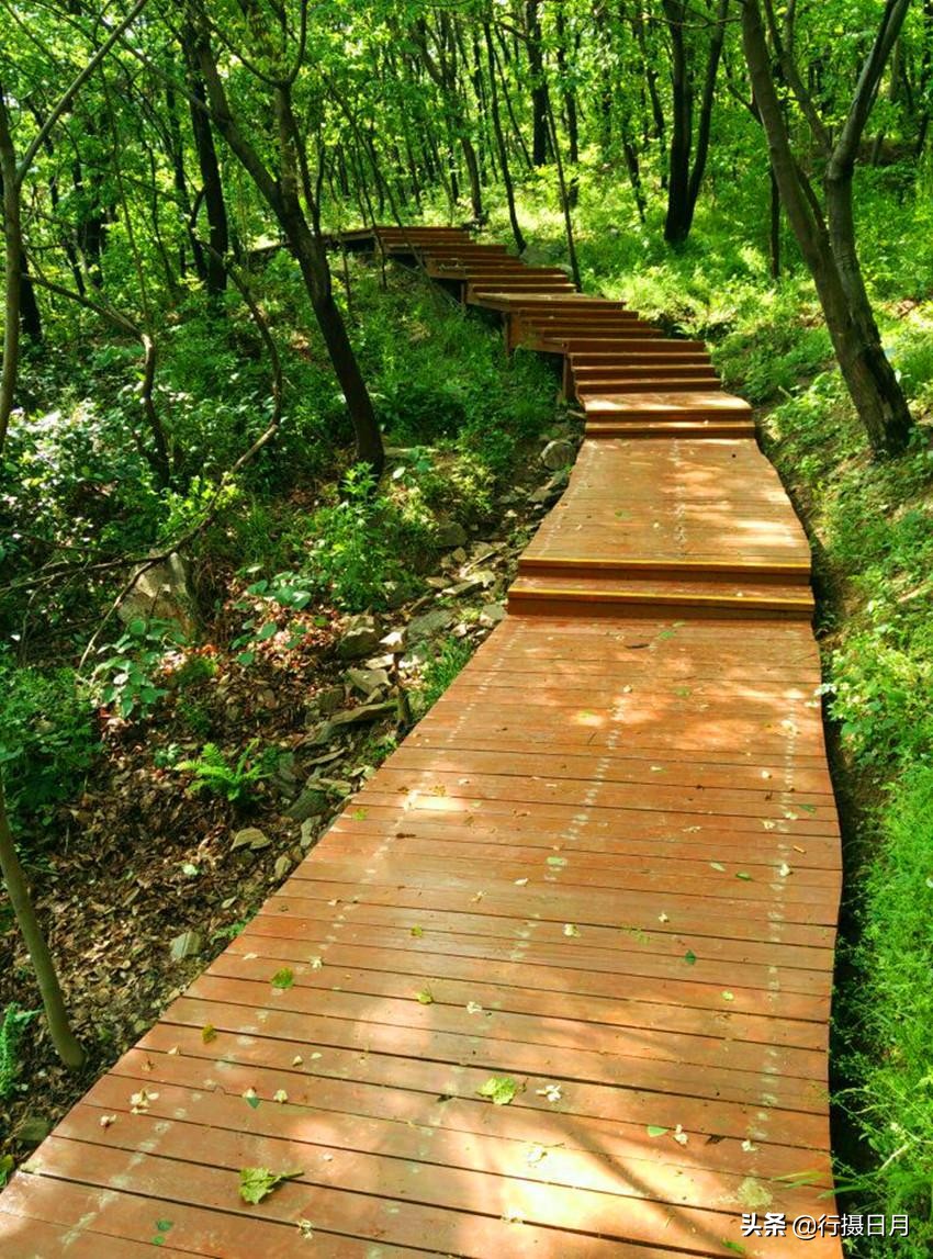 走进老乐山，徜徉如意湖，探访重阳登高之源