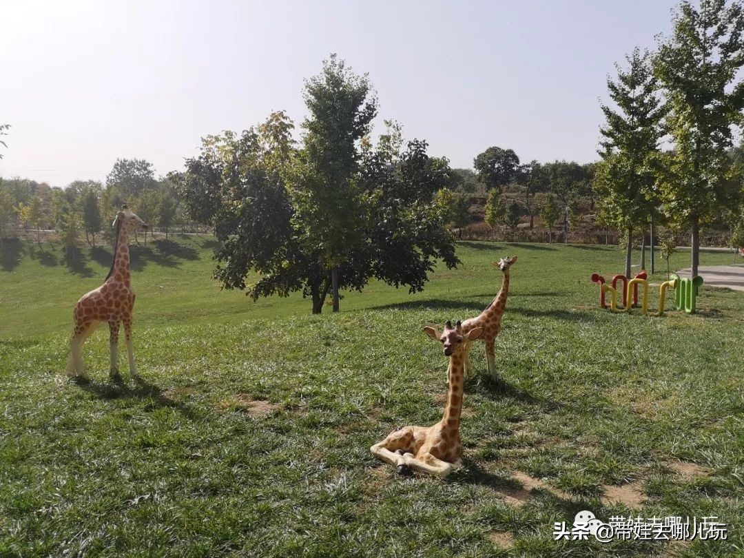 住别墅、滚草坪、躺在床上看电影，密云轻奢营地的花样玩法