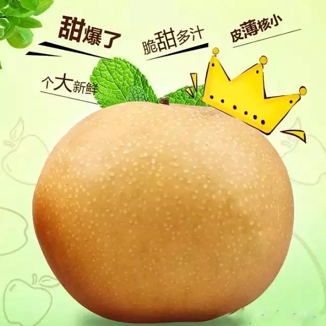 甜爆了！脆惊了！后观寨晚秋黄梨傲霜迎雪等君前来采摘