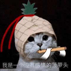 可爱小猫表情包搞笑图片,开心表情包可爱搞笑图片