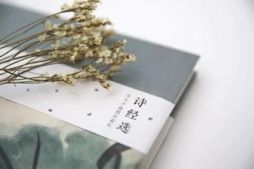 诗经中有韵味的四字网名,非常有含义的诗经网名大全