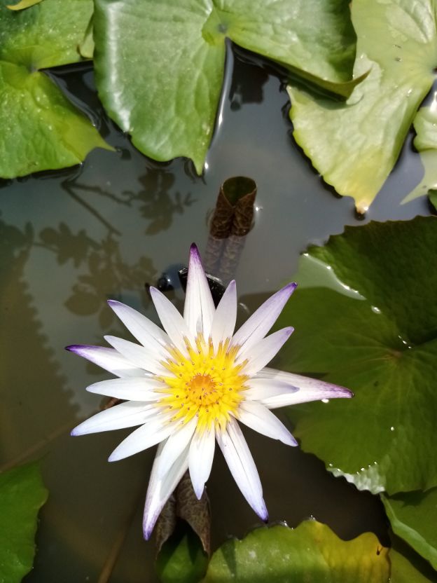 陈慧琴|普通人如何用写作打造个人品牌,10倍放大自己的影响力?