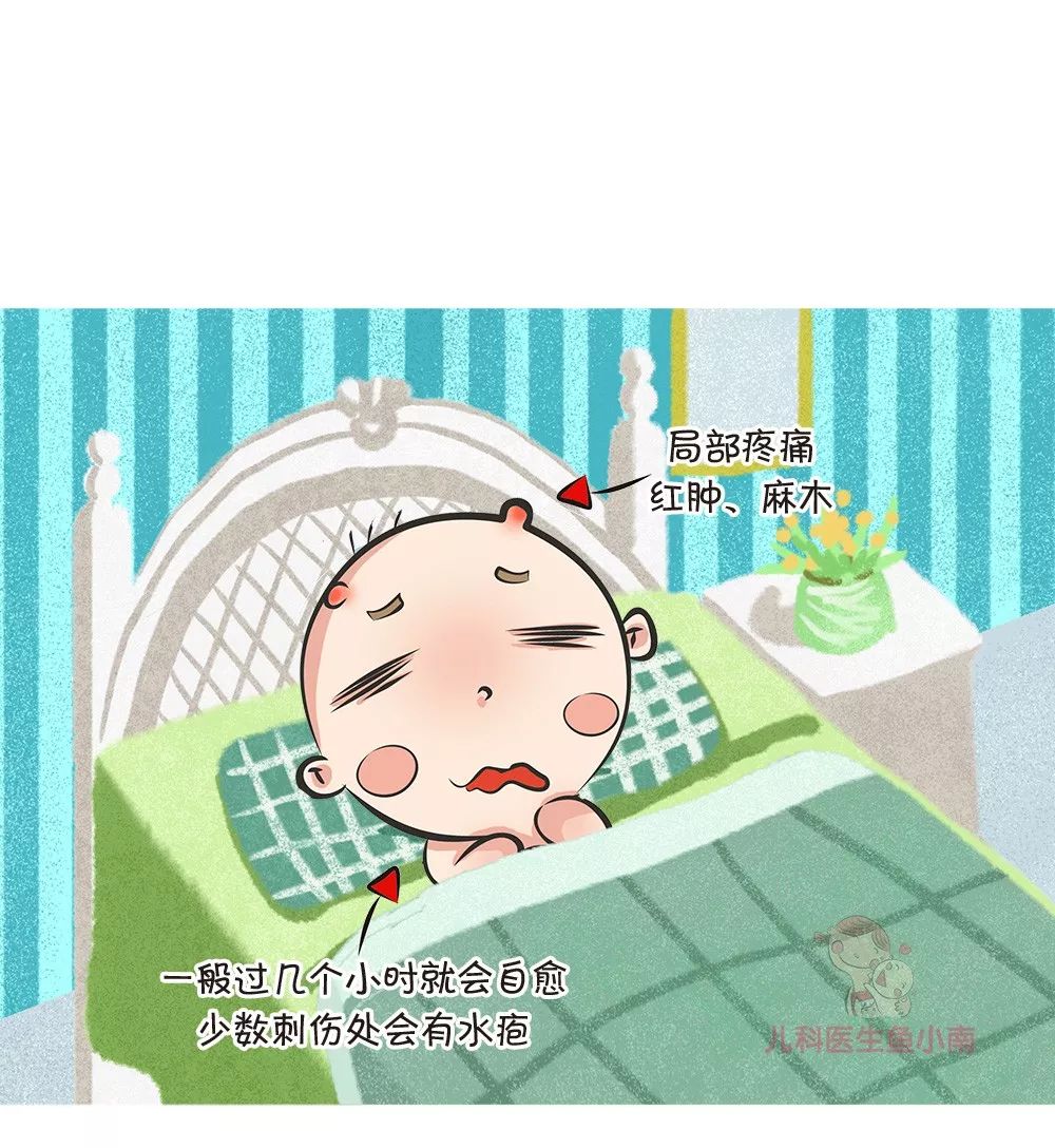 被蜂蜇伤的处理方法是什么,被蜂蛰伤后应该如何处理