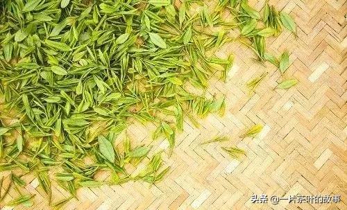 不同种类茶的辨别,茶类鉴别