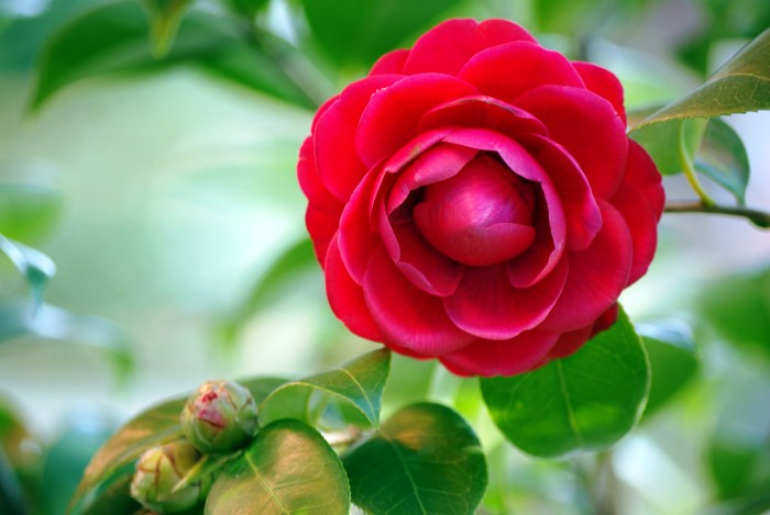 人生经典句子句句正能量走心励志,走心励志短句激励人心正能量文案