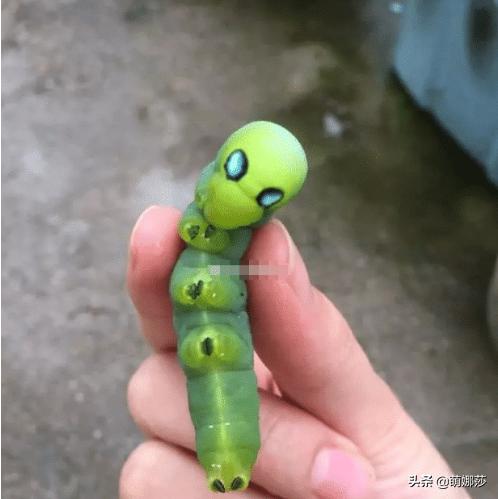 睡觉无缘无故脖子青了一小块,睡醒发现脖子有一圈青了