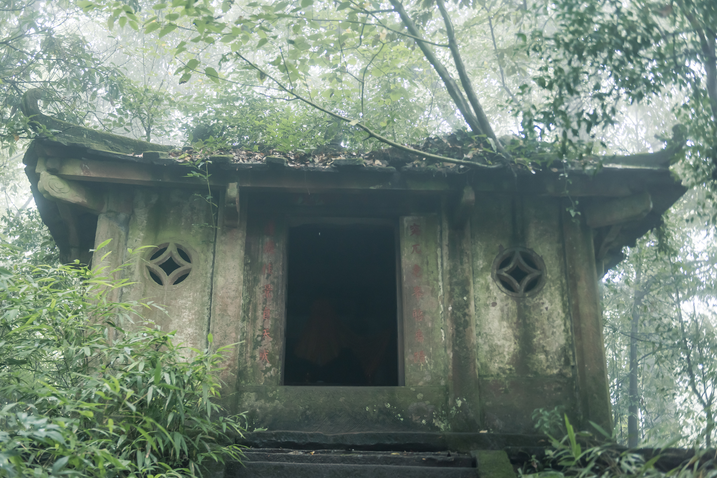 蒙顶山茶高山雀舌,蒙顶山茶叶有哪些