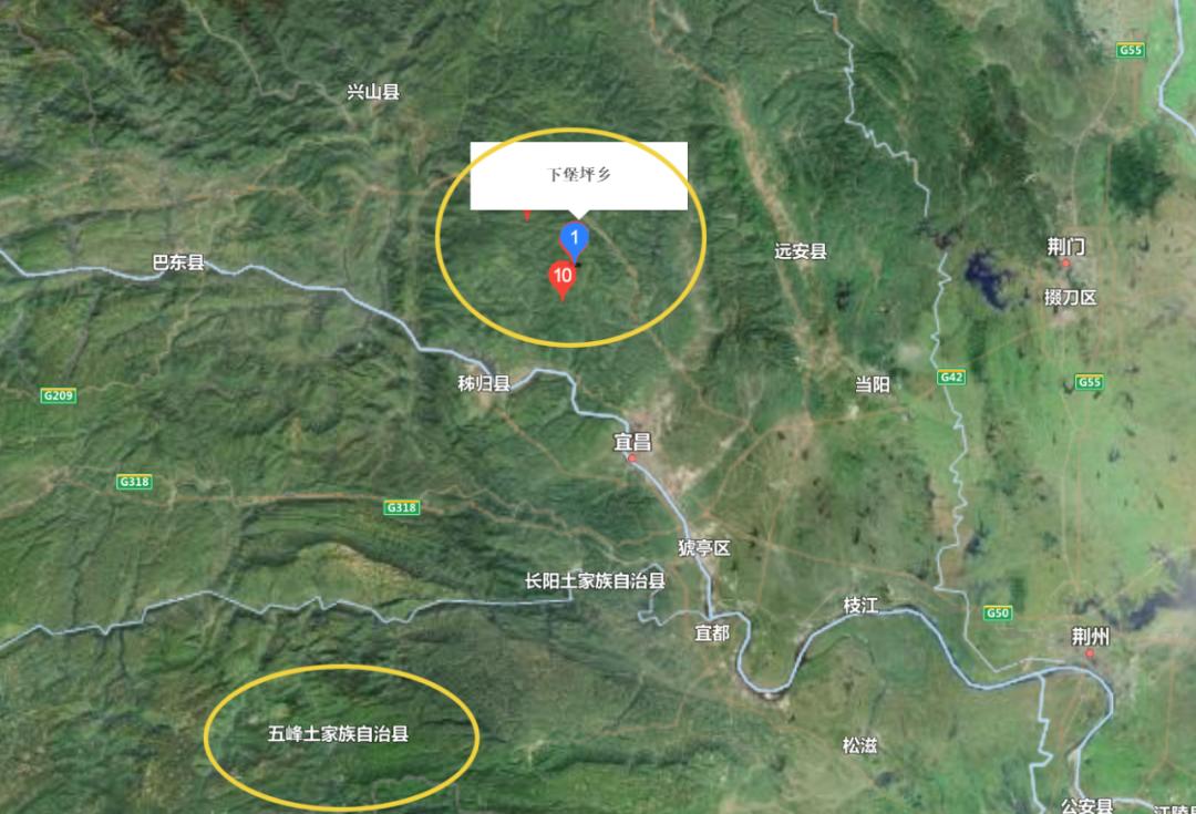 贵州的道地药材天麻,天麻属于哪里的道地药材