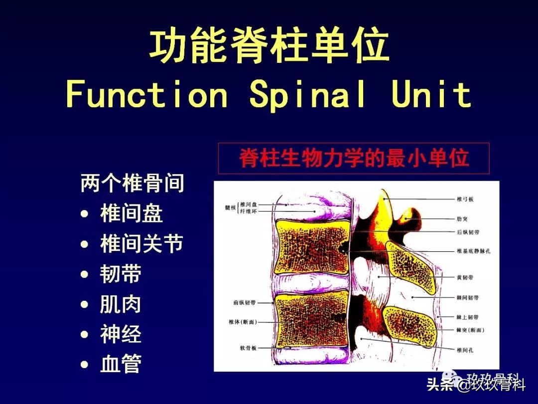 腰椎不稳最坏的结果,腰椎不稳的最佳治疗方法