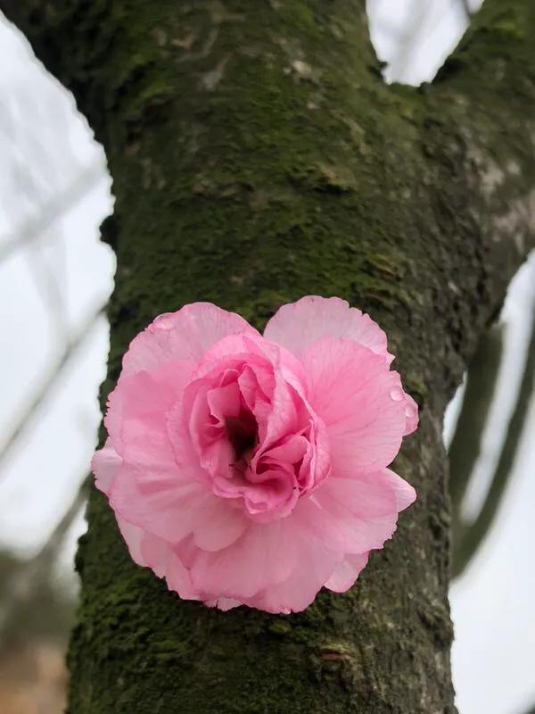 手拍世界微信公众号,手拍世界完整版视频