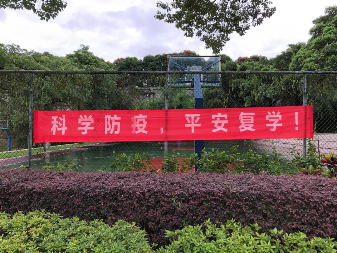 欢迎归来歌曲,欢迎归来的歌曲