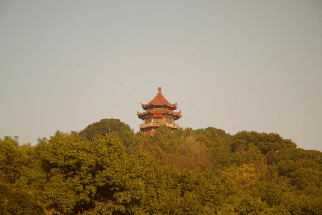 苏州西山有什么好的农家乐,苏州西山农家乐春节五日游