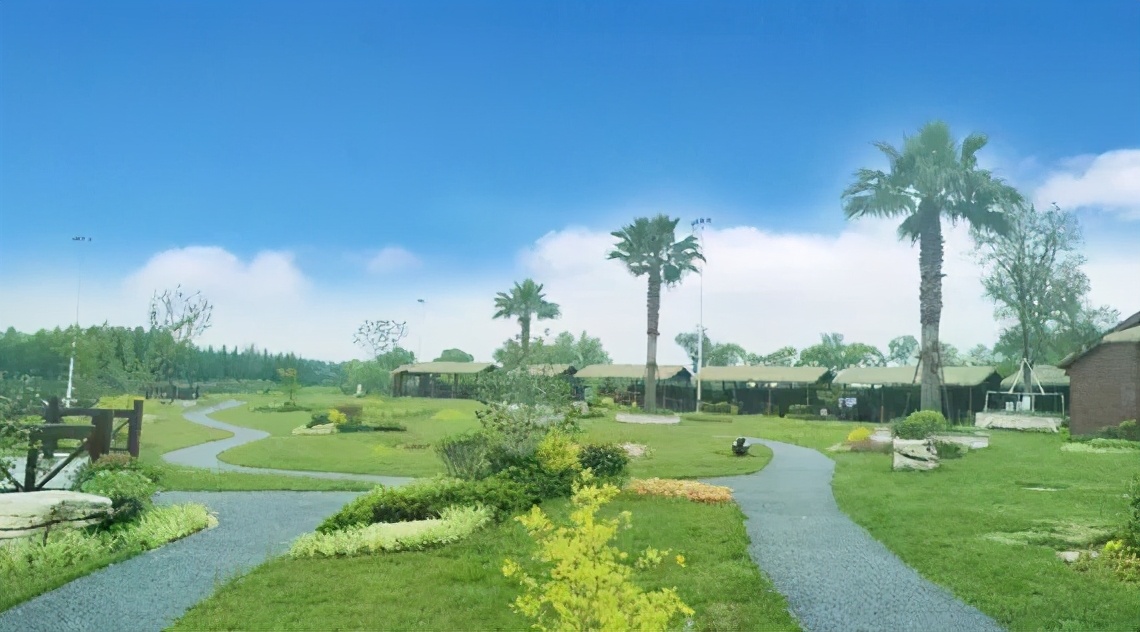 崇明岛西沙湿地公园视频,崇明西沙湿地公园芦苇荡