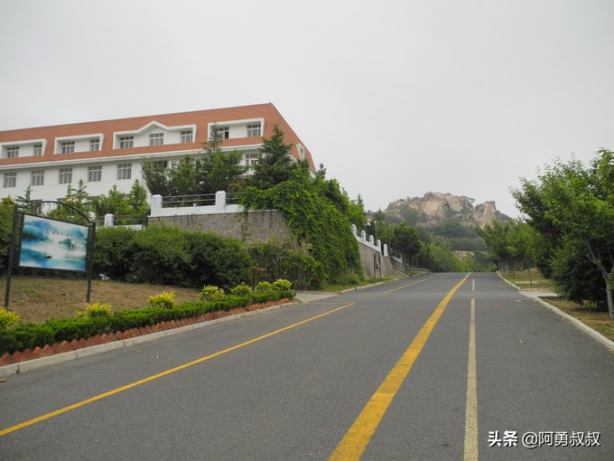 青岛二中2019高考成绩,经验分享大学专业