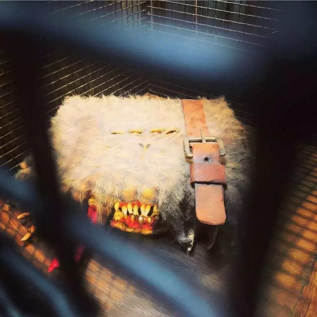 放假了和你爱的人去一次游乐场,一定要和自己爱的人去一次游乐场