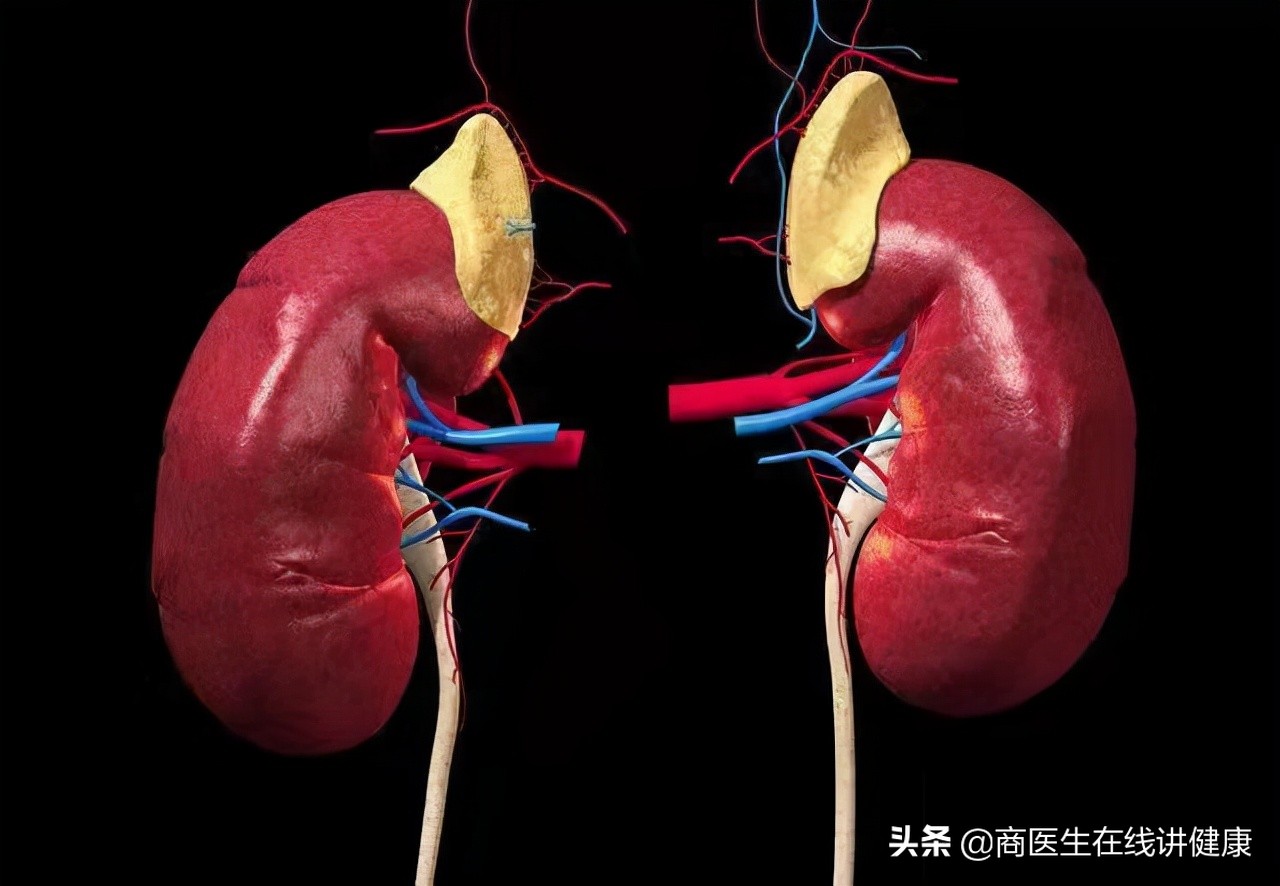 降糖达格列净副作用,一型糖尿病为什么不能用达格列净