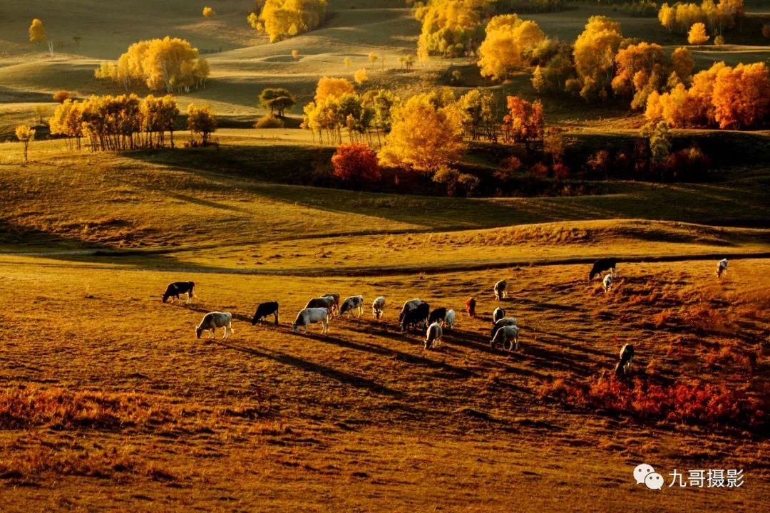 大美坝上草原全景,大美坝上风光系列之一