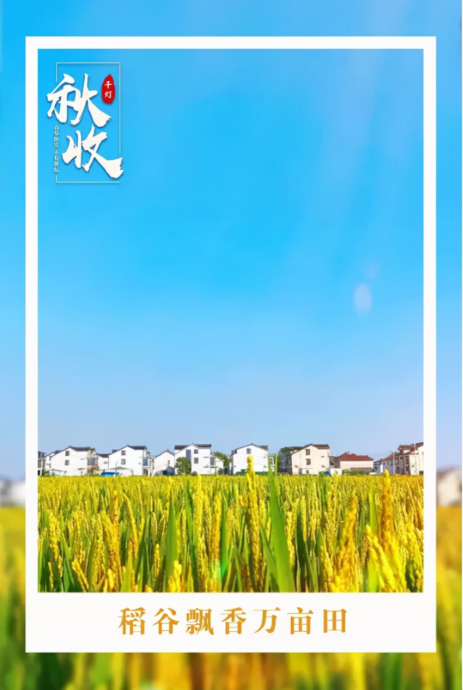 昆山限时特卖会,昆山大润发抢购