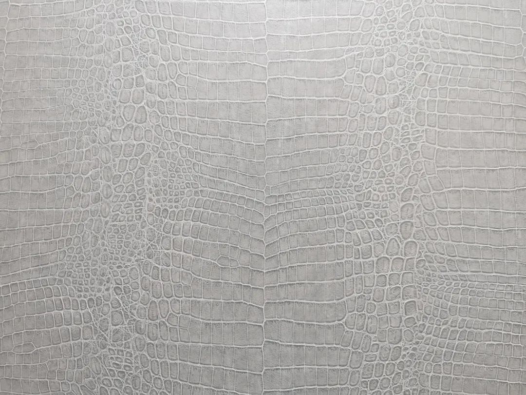 东鹏art陶瓷,东鹏艺术家新品上市