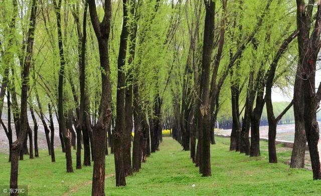 关于思乡送别爱国田园风光的古诗,有关爱国情怀边塞古诗词