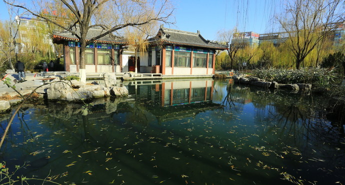 山东值得去的旅游景点,山东景区排名必游景区前十名