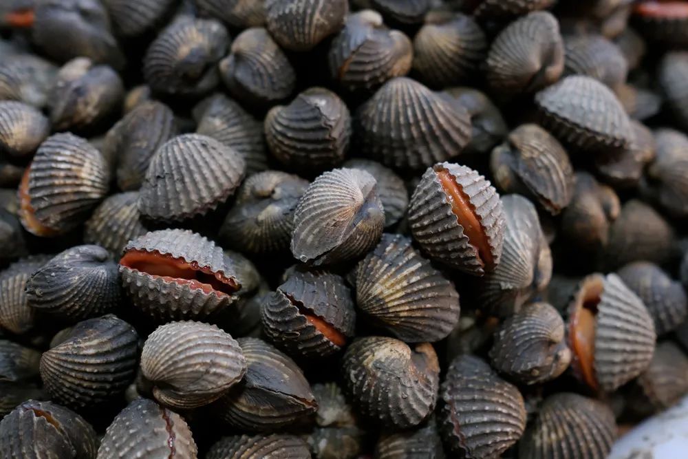 请依次用韩文读出来,请朗读并圈出元音不同的单词