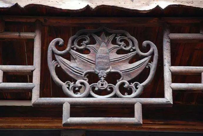 蝙蝠给人类敲响的警钟,蝙蝠对人类有帮助和贡献