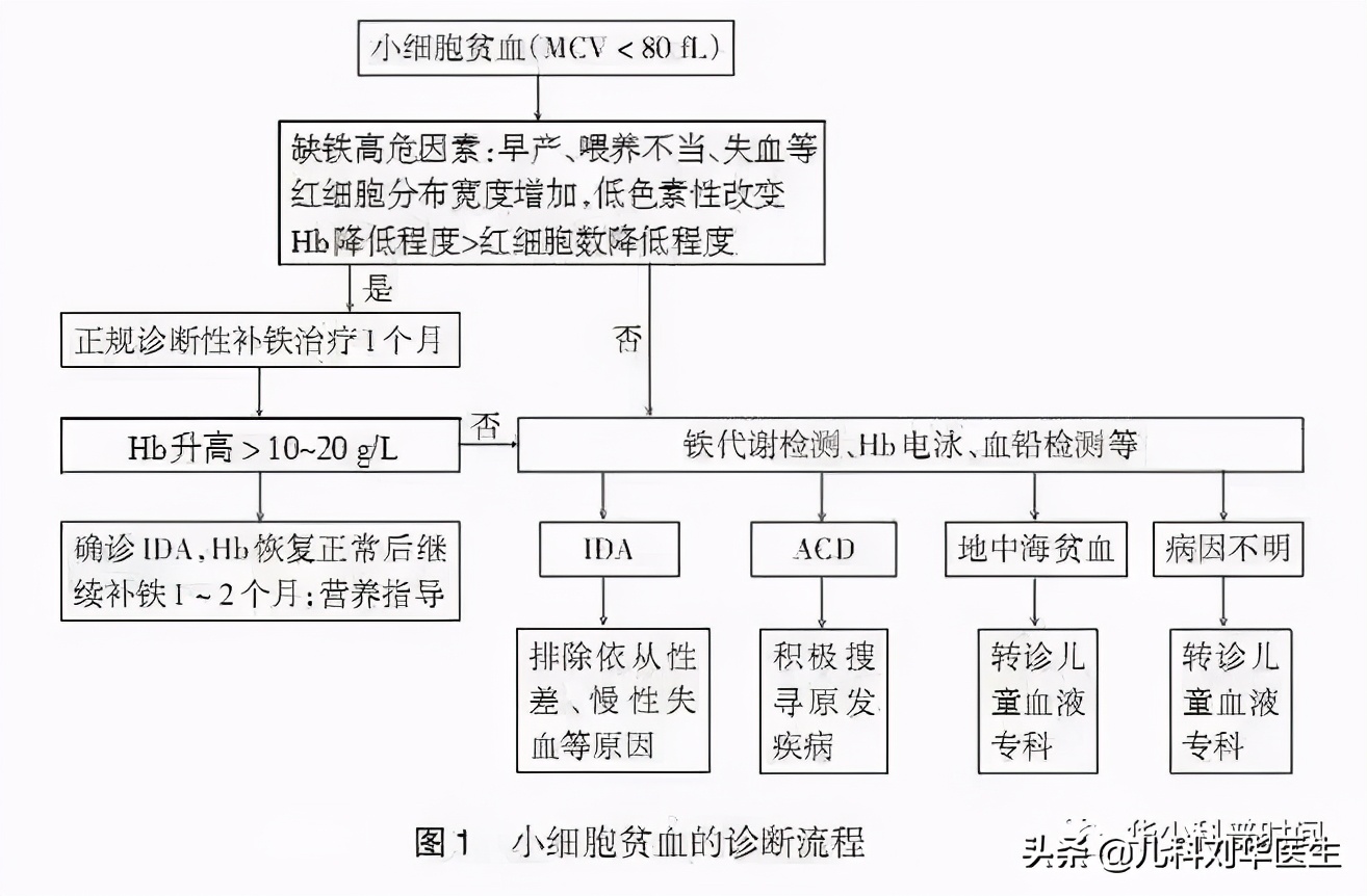 用铁锅炒菜可有效预防缺铁性贫血,儿童营养性缺铁性贫血的干预措施