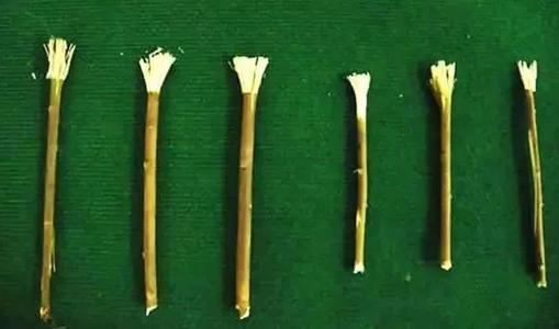 古人没有牙刷之前用什么清洁牙,古代中国人怎么清洁牙齿