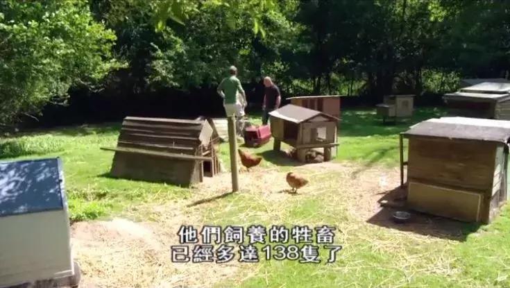 隐居深山30年以种地为生,隐居深山生活养动物