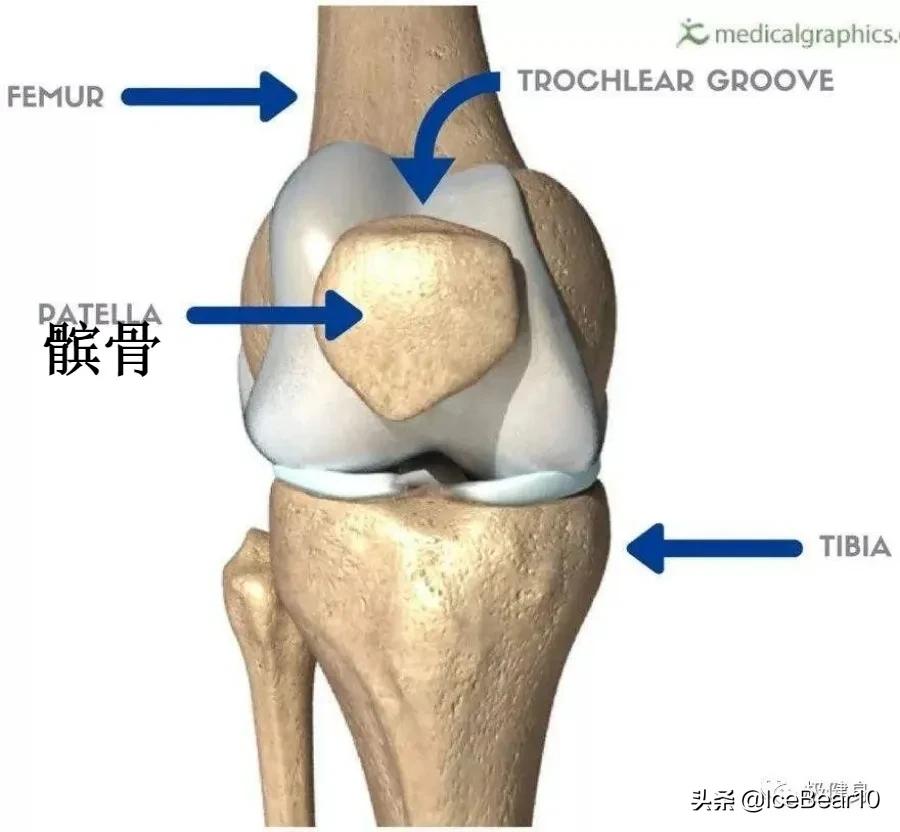 膝关节疼健身避免哪些动作,健身保护膝关节怎么做