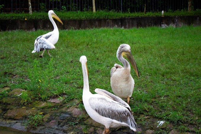 儿童亲子游怎么玩,室内亲子游必玩100例