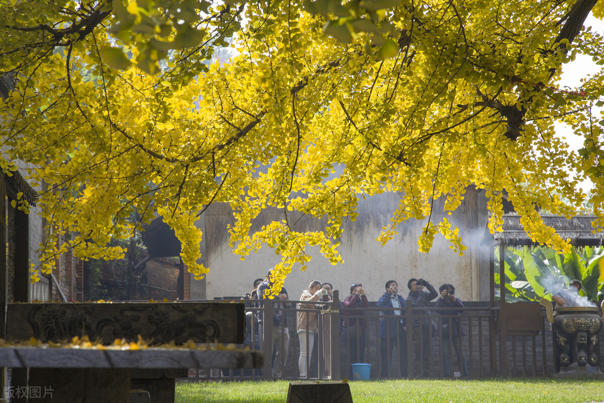 西安灞桥区和长安区,西安灞桥区和长安区哪个好
