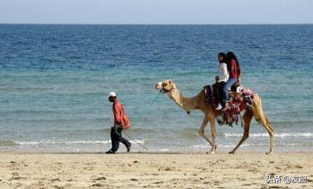 厦门旅游攻略怎么避免踩坑,厦门旅游攻略不去景点避雷