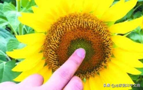 Gang交，危害知多少？