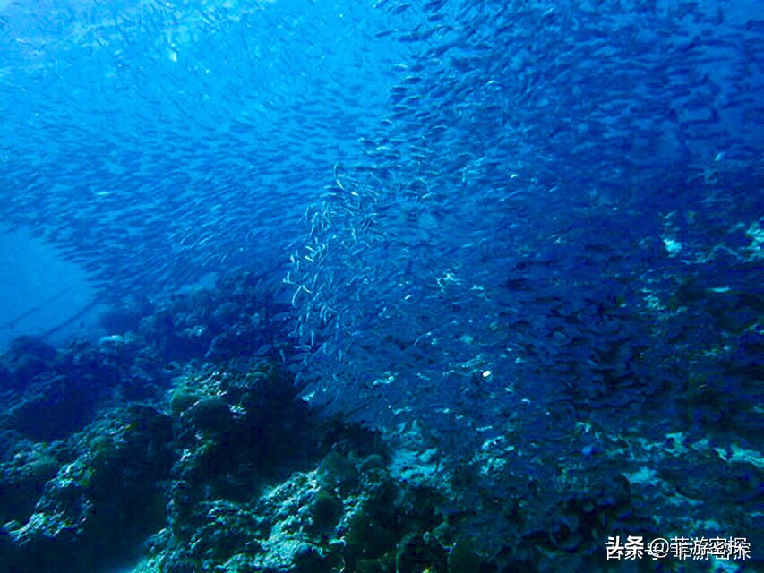 全方位了解菲律宾,菲律宾基本情况介绍及推荐