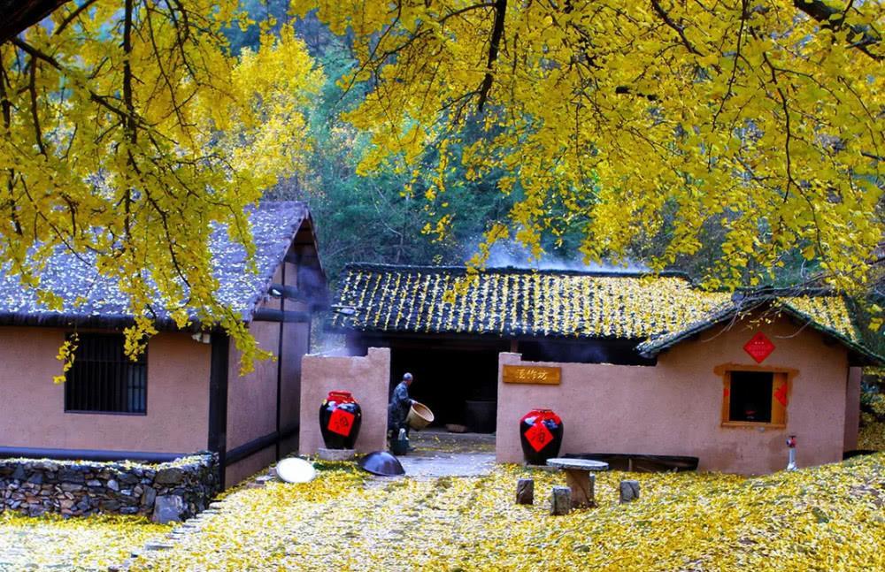 哪些电视剧是在湖北拍的,有哪些电影是在武汉取景