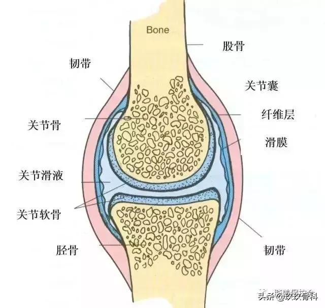 膝盖肿胀疼痛,滑膜炎找上门,要如何应对?