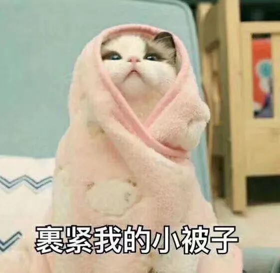 大盘暴跌创新低,放量暴跌创新低