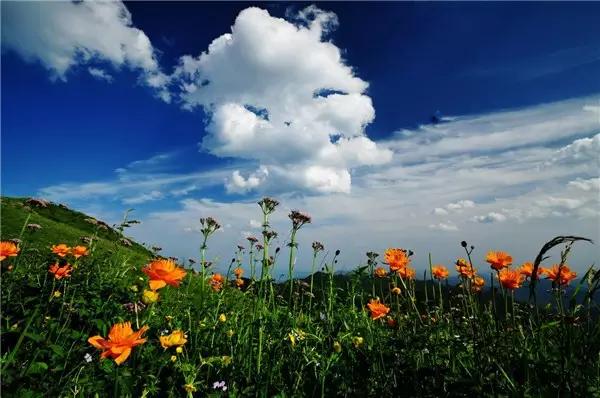 去五台山10大忠告,去五台山不需要任何理由