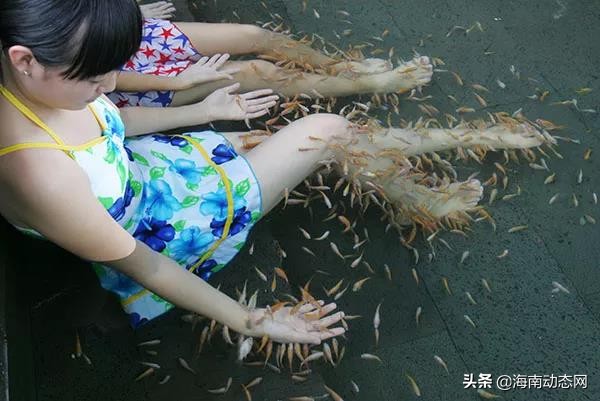 趁着春光出游海南,趁着春光明媚去旅行