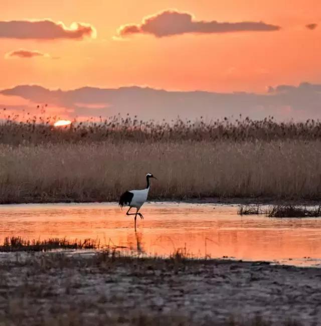 亚洲宜居城市排名2019,中国唯一一个国际评选的宜居城市